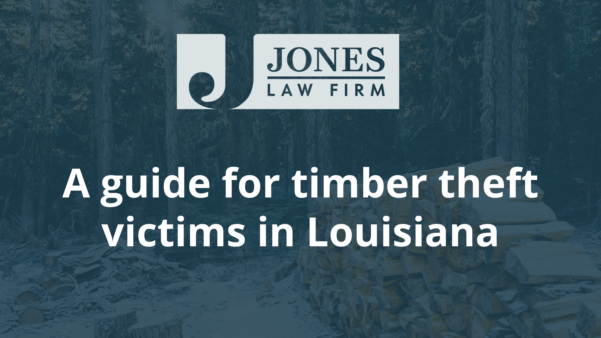A guide for timber theft victims in Louisiana - jones law firm - louisiana