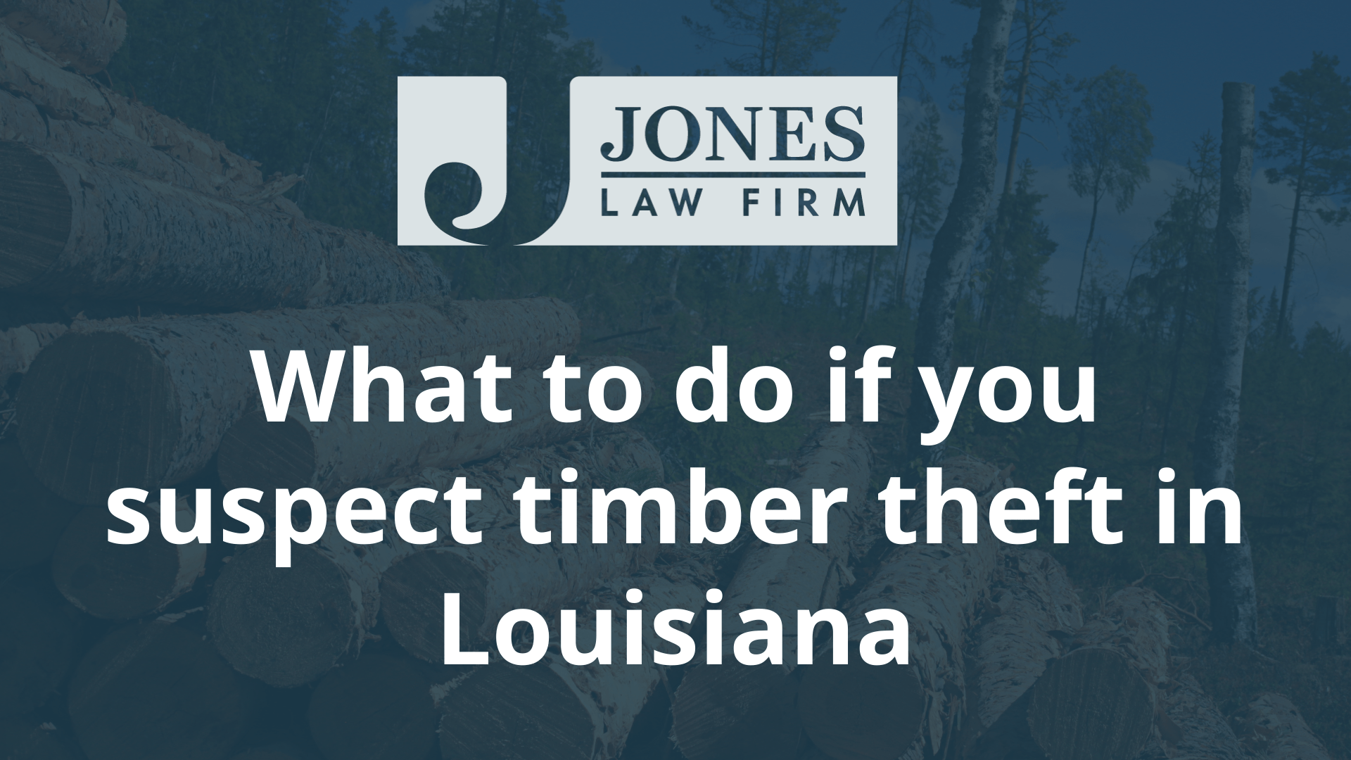 What to do if you suspect timber theft in Louisiana - jones law firm - louisiana