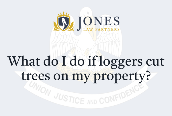 What do I do if loggers cut trees on my property - Jones Law Partners - alexandria louisiana