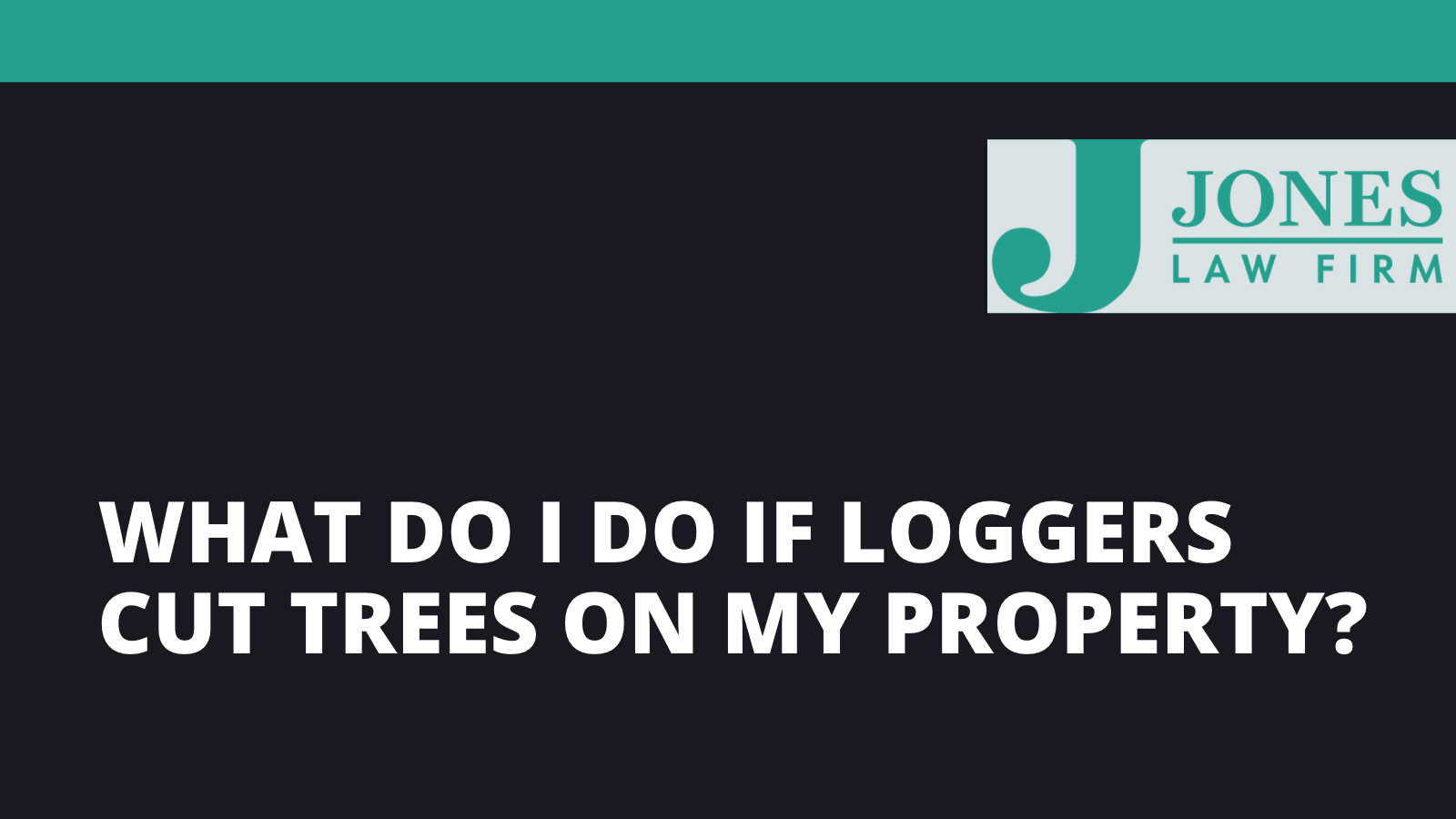 What do I do if loggers cut trees on my property - Jones law firm - Alexandria louisiana